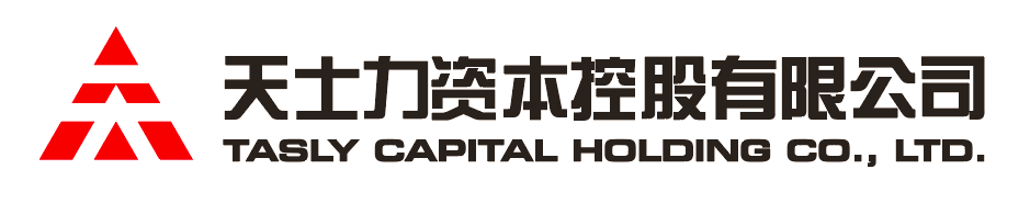 88038威尼斯资本控股有限公司